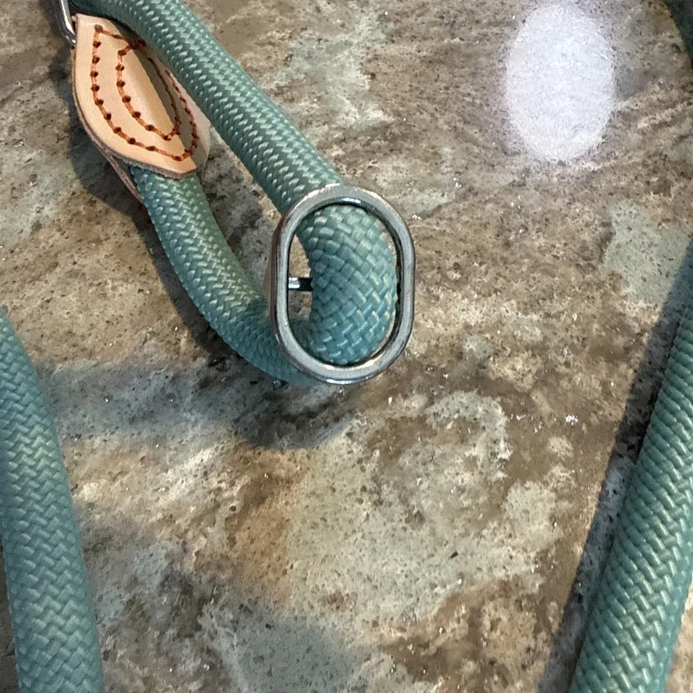5' Nylon Leather Slip Lead Dog Leash Mint Dog Training Walking Exercise